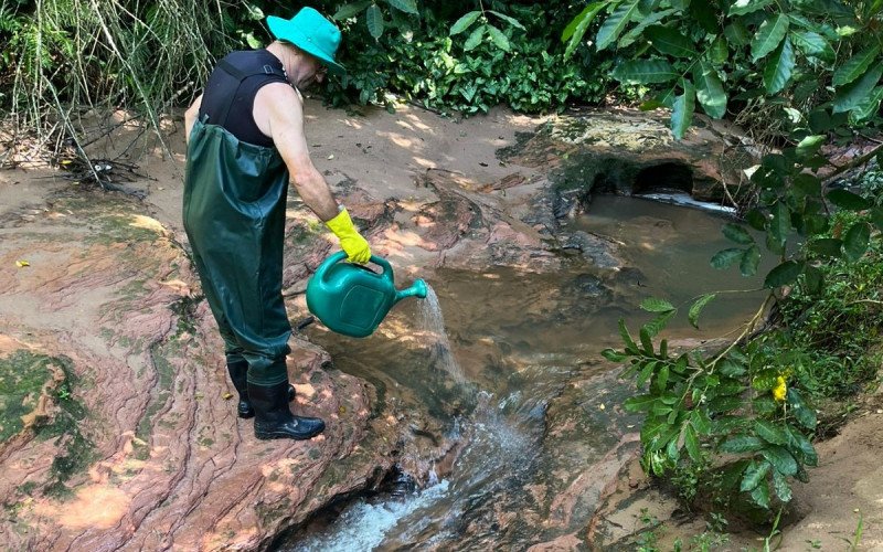 Estância Velha intensifica combate ao Borrachudo