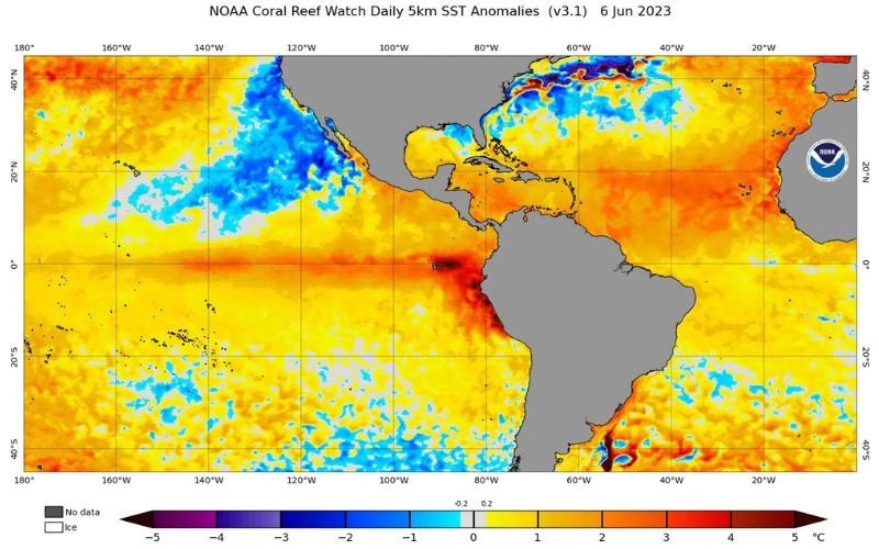 Último El Niño, em 2023-2024, foi declarado em junho de 2023 e neste ano os dados indicam que deve começar no mesmo período | abc+