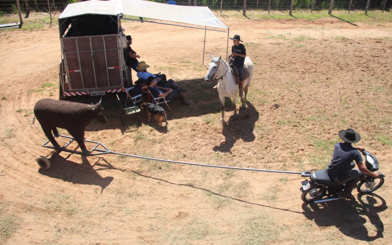 Torneio de vaca mecânica leva cerca de 270 participantes para o bairro Lomba Grande | abc+