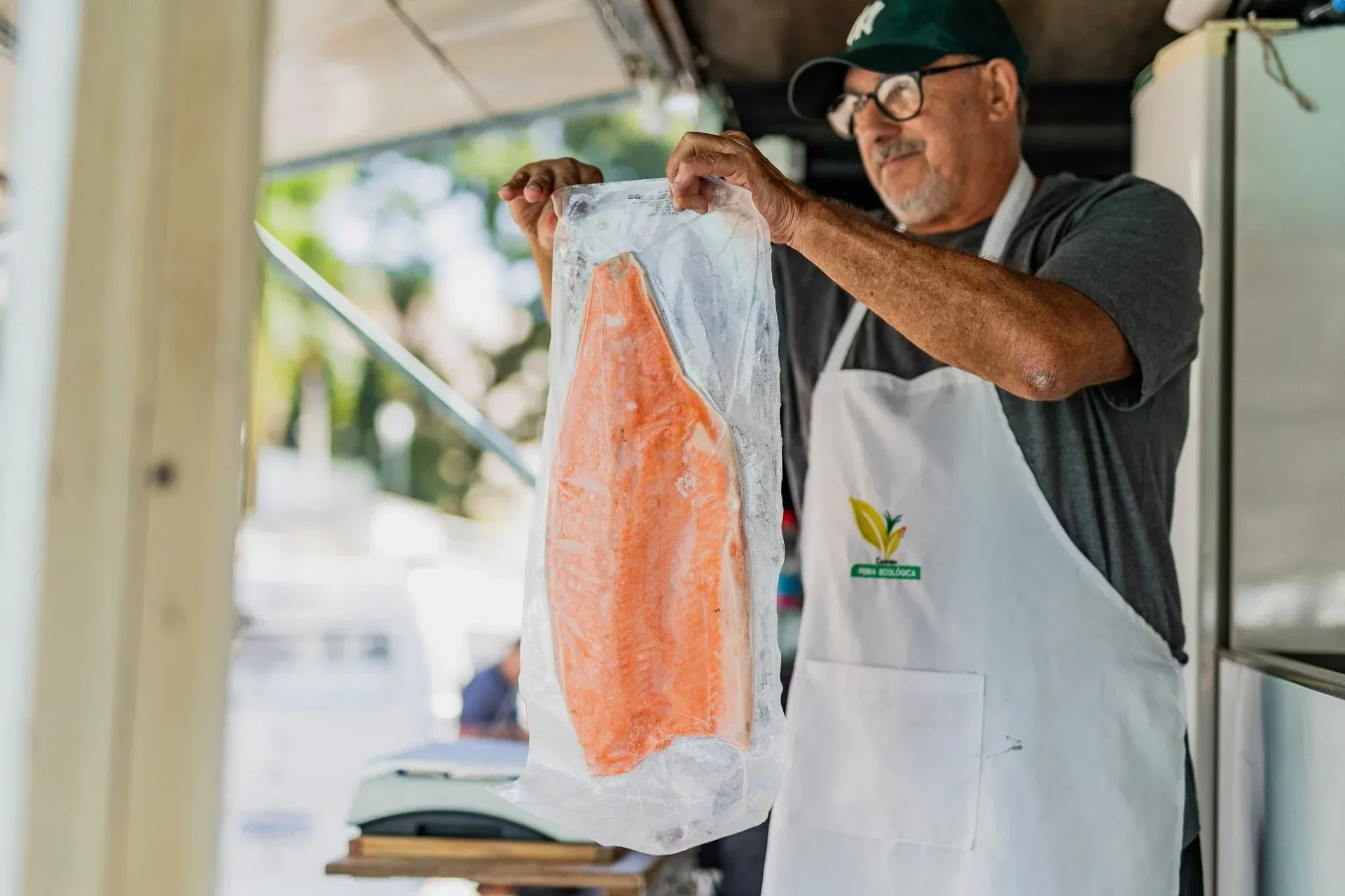 Como saber se o peixe é fresco? Siga estes 5 sinais e evite riscos na Semana Santa