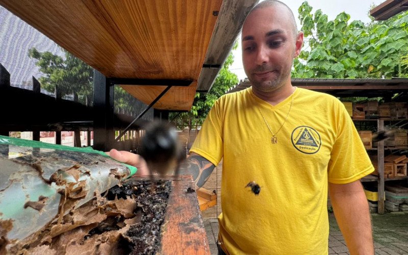 Marcos Gonchoroski com suas caixas de abelhas nativas sem ferrão