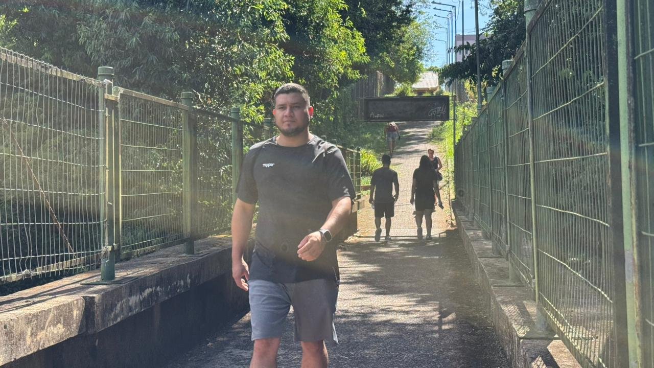 Passarela de Dois Irmãos vira refúgio verde em meio à cidade e deve passar por revitalização