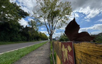 Fim de semana será de clima de outono em pleno verão gaúcho; confira a previsão