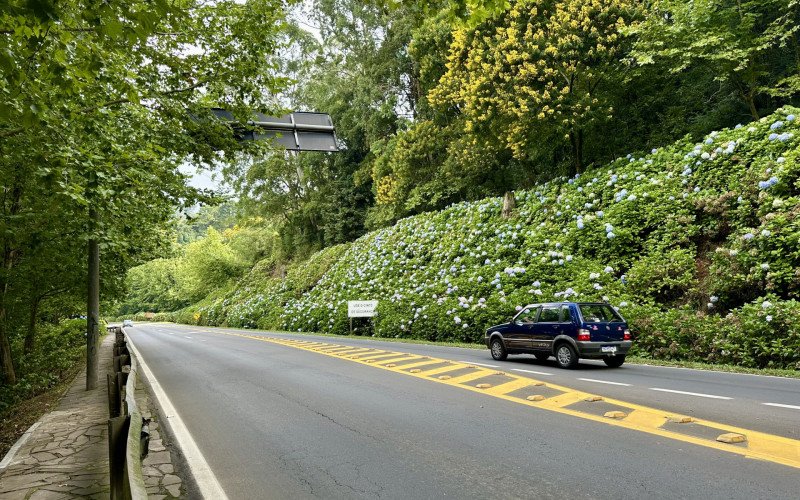 Trecho da RS-115, em Gramado, que vitimou a jovem Marina Maria de Carvalho, de 33 anos