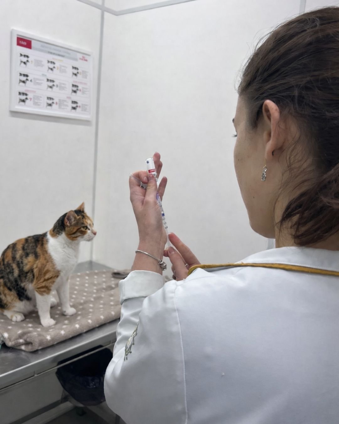 Atendimento humanizado | abc+