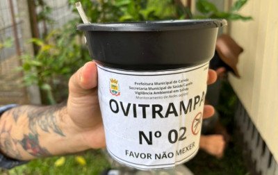 Vigilância Ambiental de Canela instala armadilhas para localizar focos do mosquito da dengue