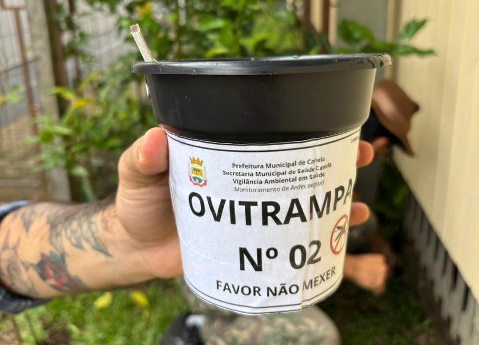 Vigil&acirc;ncia Ambiental de Canela instala armadilhas para localizar focos do mosquito da dengue