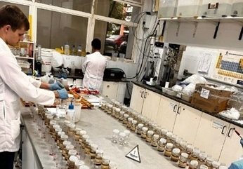 Vinhedos da Serra gaúcha agora contam com manejo de solo específico para a região