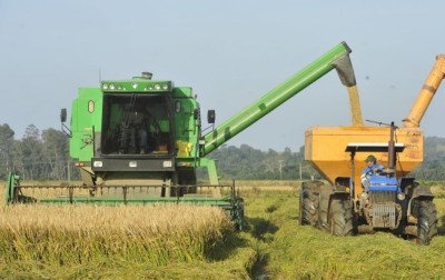 Alerta de falta de diesel em meio à colheita preocupa setor produtivo no RS