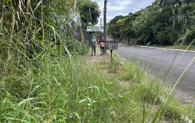 "Está muito atirado": Mato alto e falta de manutenção prejudicam caminhadas no entorno do Parcão em Novo Hamburgo
