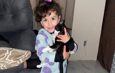 Dia Municipal dos Animais Domésticos e fortalecimento do Educavídeo: veja propostas aprovadas na Câmara de Gramado