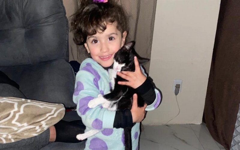 Câmara de Gramado aprova criação do Dia Municipal dos Animais Domésticos
