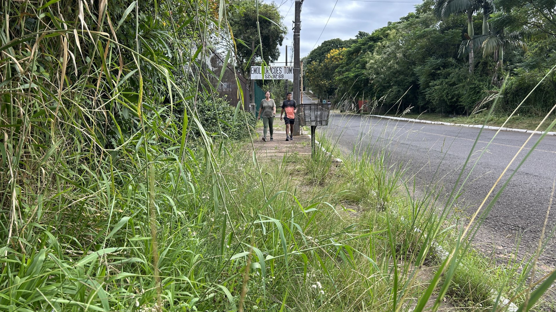&ldquo;Est&aacute; muito atirado&rdquo;: Mato alto e falta de manuten&ccedil;&atilde;o prejudicam caminhadas no entorno do Parc&atilde;o em Novo Hamburgo