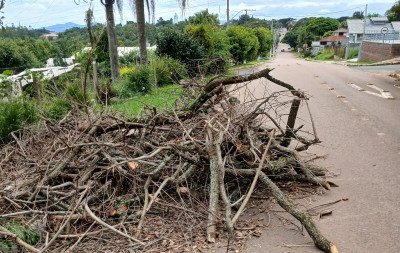 "Tenho medo que botem fogo": Restos de poda se amontoam e causam preocupação em bairro rural de Novo Hamburgo