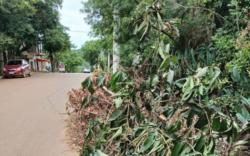 Restos de poda foram deixados há um mês na Avenida Brasília, do bairro Lomba Grande, de Novo Hamburgo | abc+