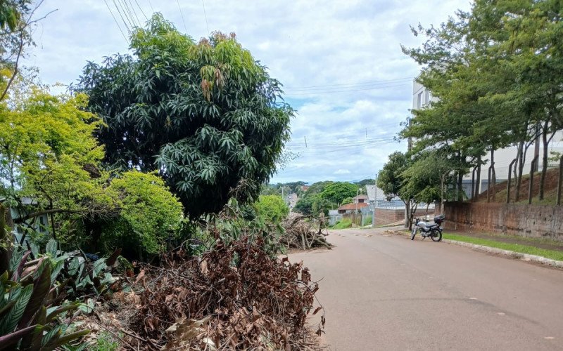Restos de poda foram deixados há um mês na Avenida Brasília, do bairro Lomba Grande, de Novo Hamburgo | abc+