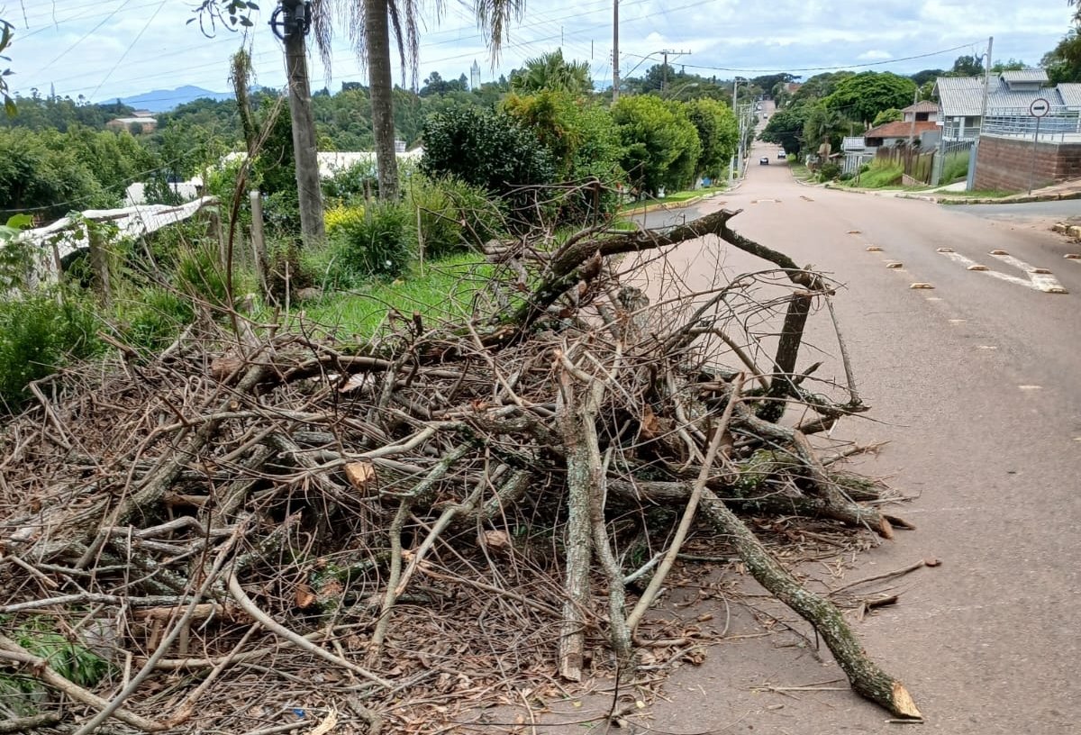 “Tenho medo que botem fogo”: Restos de poda se amontoam e causam preocupação em bairro rural de Novo Hamburgo