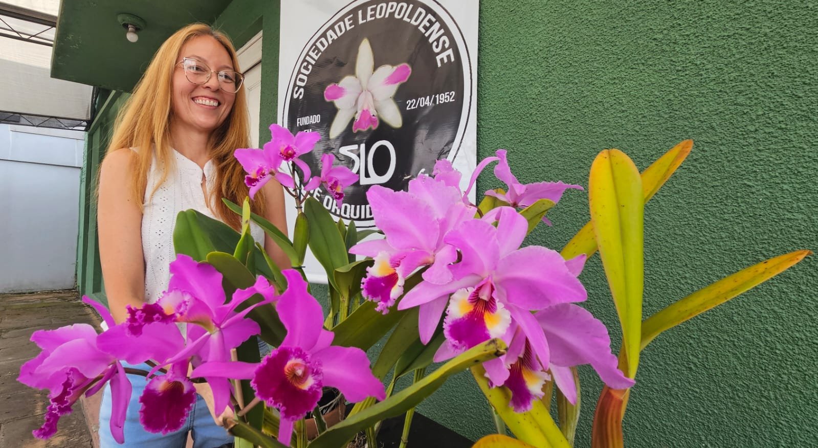 Tradicional exposi&ccedil;&atilde;o de orqu&iacute;deas ocorre neste fim de semana em S&atilde;o Leopoldo