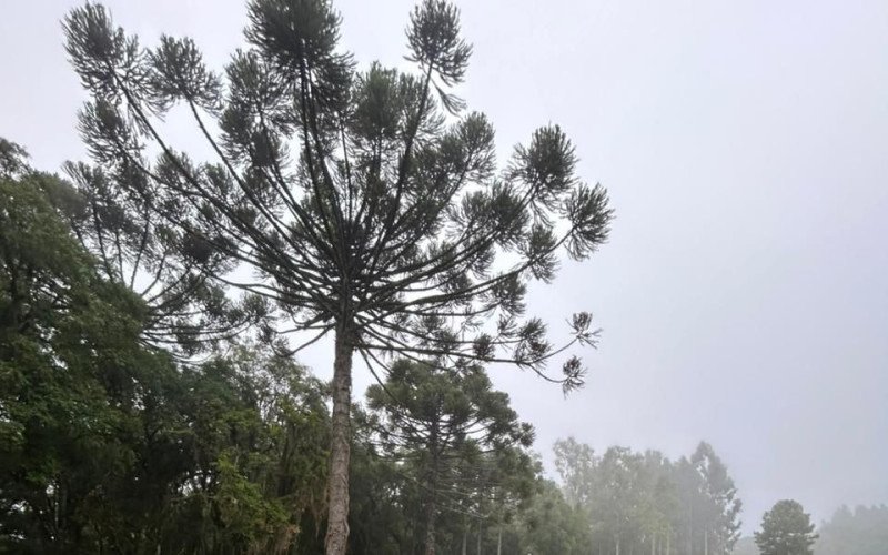 Trabalho de campo é realizado mensalmente, em dois dias 