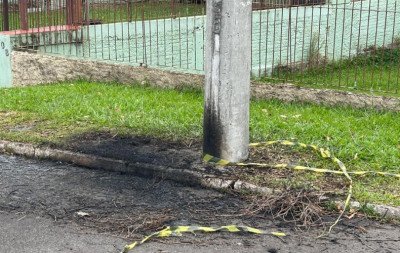 VÍDEO: Ninho de caturrita pega fogo e deixa moradores sem luz em Novo Hamburgo