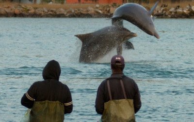 "Pacto" entre pescadores e botos no Sul é reconhecido como Patrimônio Cultural do Brasil