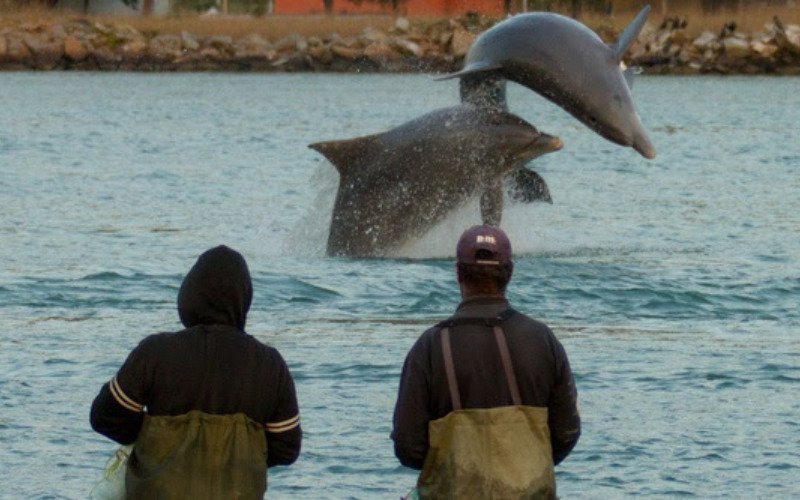 &ldquo;Pacto&rdquo; entre pescadores e botos no Sul &eacute; reconhecido como Patrim&ocirc;nio Cultural do Brasil