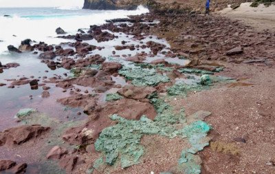 Rochas de plástico? Entenda descoberta feita em ninhos de tartarugas no Brasil