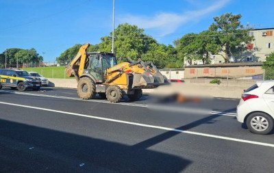 BR-116: Corpo de cavalo atropelado próximo ao Zoo de Sapucaia do Sul é removido da pista