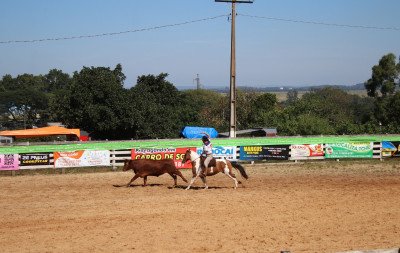 Nova Santa Rita se prepara para o 4º Rodeio Nacional e 14º Rodeio Estadual