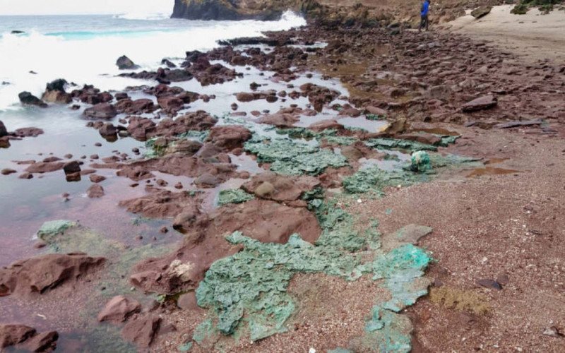 Rochas de plástico chegam a ninhos de tartarugas em ilha brasileira | abc+