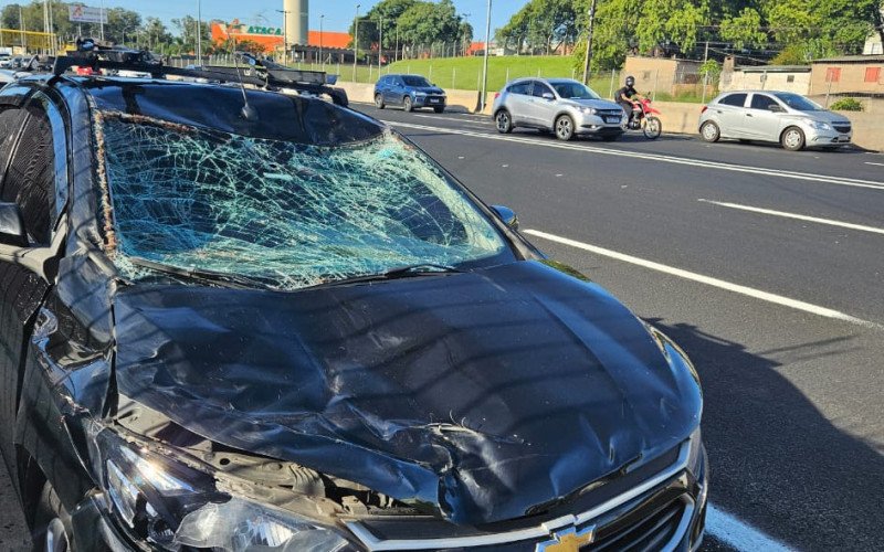 Carro teve a frente destruída após atingir cavalo na BR-116