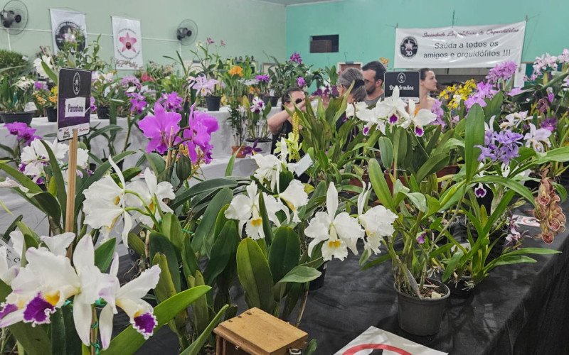 134ª Exposição de Orquídeas em São Leopoldo