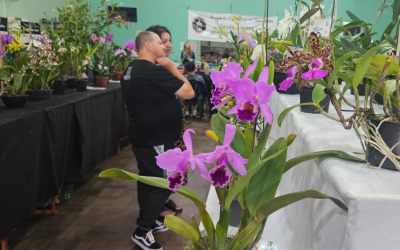 134ª Exposição de Orquídeas em São Leopoldo