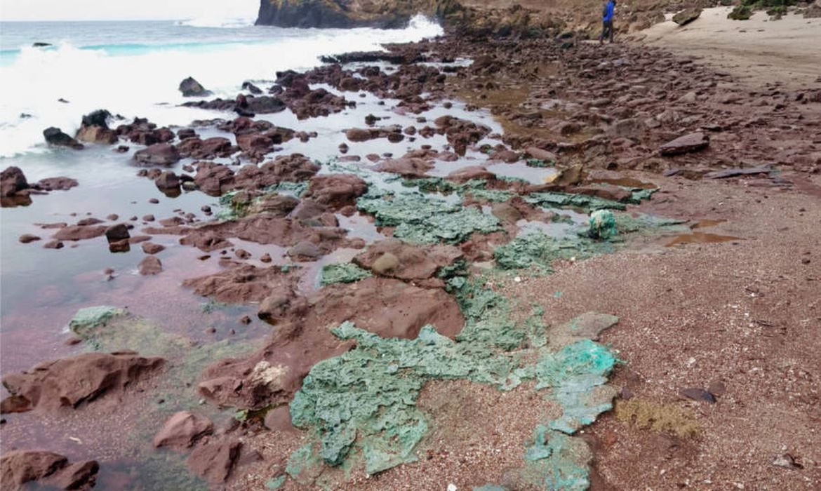 Rochas de pl&aacute;stico? Entenda descoberta feita em ninhos de tartarugas no Brasil