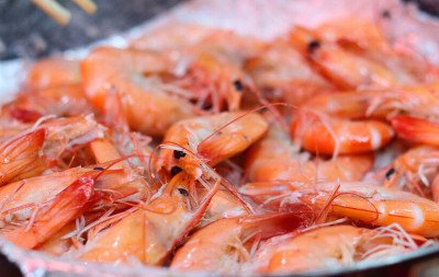 Entenda por que a pesca do camarão está proibida no litoral do RS até o final de abril