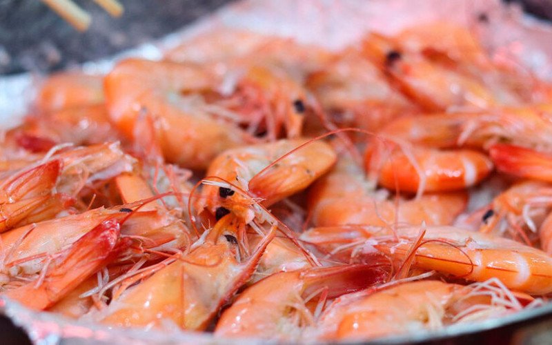 Pesca do camarão está proibida até o final de abril | abc+