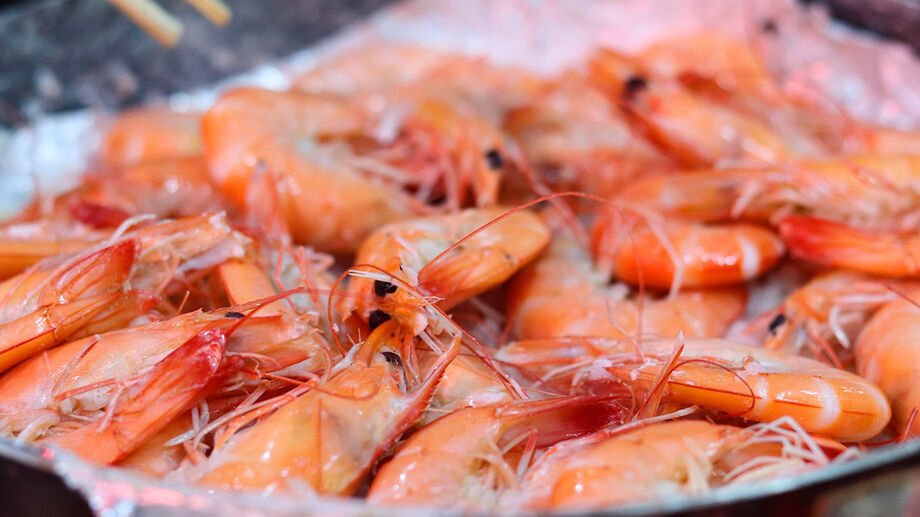 Entenda por que a pesca do camar&atilde;o est&aacute; proibida no litoral do RS at&eacute; o final de abril