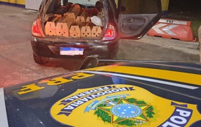 BR-386: Galos de rinha são encontrados em carro e dois homens são presos em Montenegro