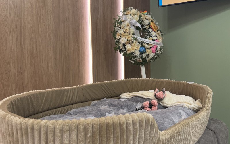 Sala de Despedida Pet – Mais que Pet traz um cenário de despedida para famílias que perderam seus animais