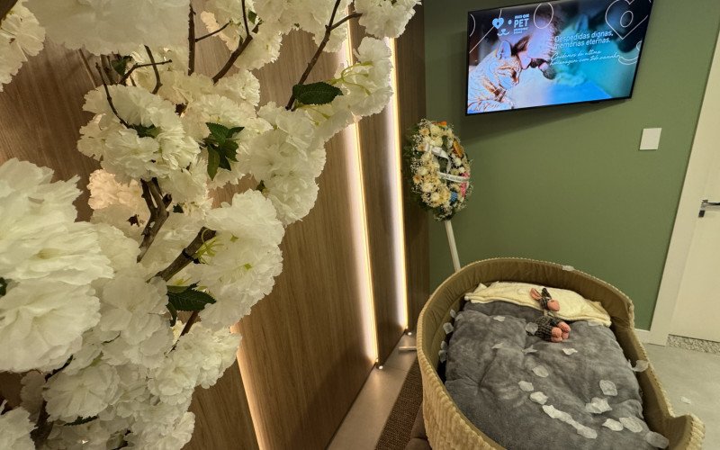 Sala de Despedida Pet – Mais que Pet traz um cenário de despedida para famílias que perderam seus animais