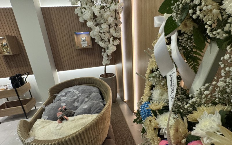 Local oferece um ambiente humanizado para famílias se despedirem de seus pets