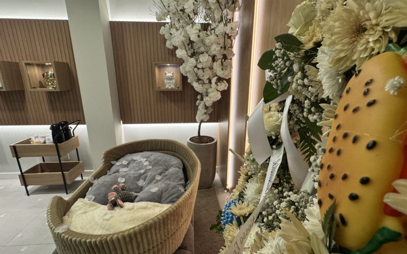 Sala de Despedida Pet – Mais que Pet traz um cenário de despedida para famílias que perderam seus animais