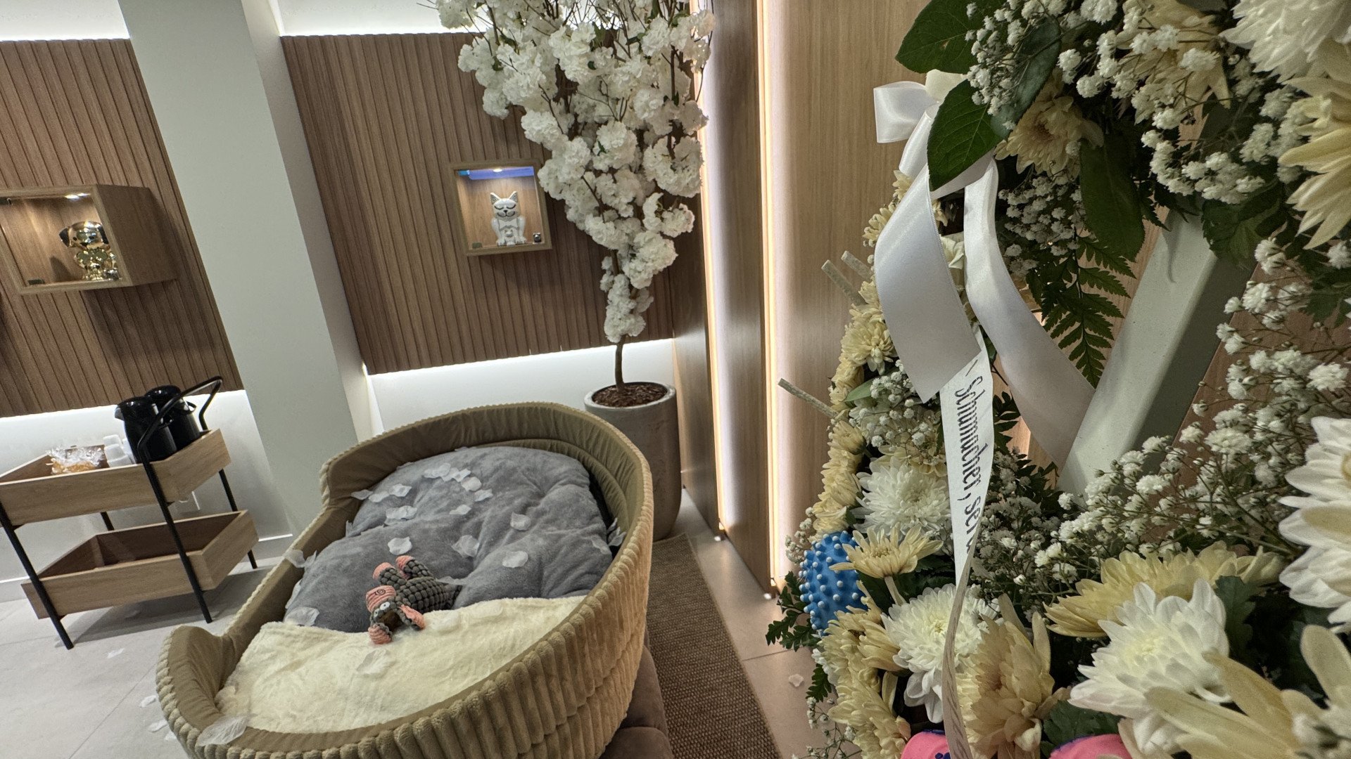 Sala de despedida pet oferece espa&ccedil;o para &uacute;ltimo adeus em Novo Hamburgo