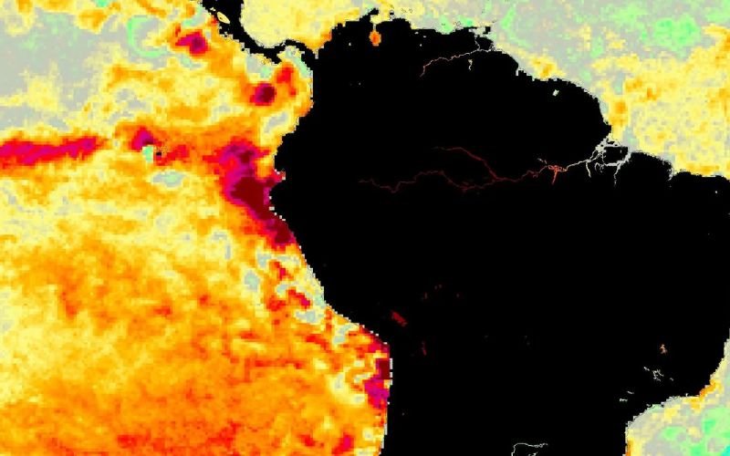 EL NIÑO: Dados mostram “salto” de aquecimento no Pacífico e níveis se igualam a 2023; entenda
