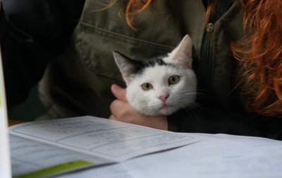 Nova Santa Rita promove ações de cuidado animal e educação ambiental neste sábado