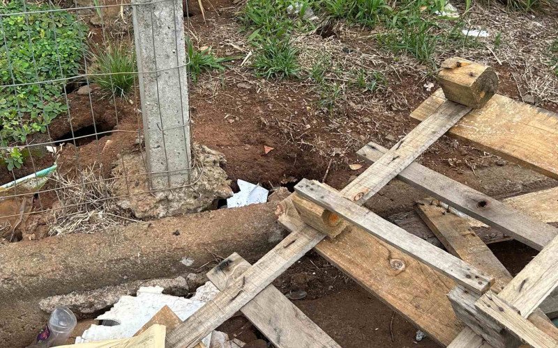 A Companhia Municipal de Urbanismo, que administra a rodoviária, afirma que não há infestação de ratos em sua dependência | abc+