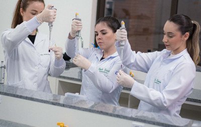 Decreto que instituiu novos formatos no ensino superior amplia segurança na escolha da graduação