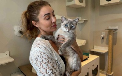 Gosta de gatos? Conheça negócio da região que une café e a causa animal