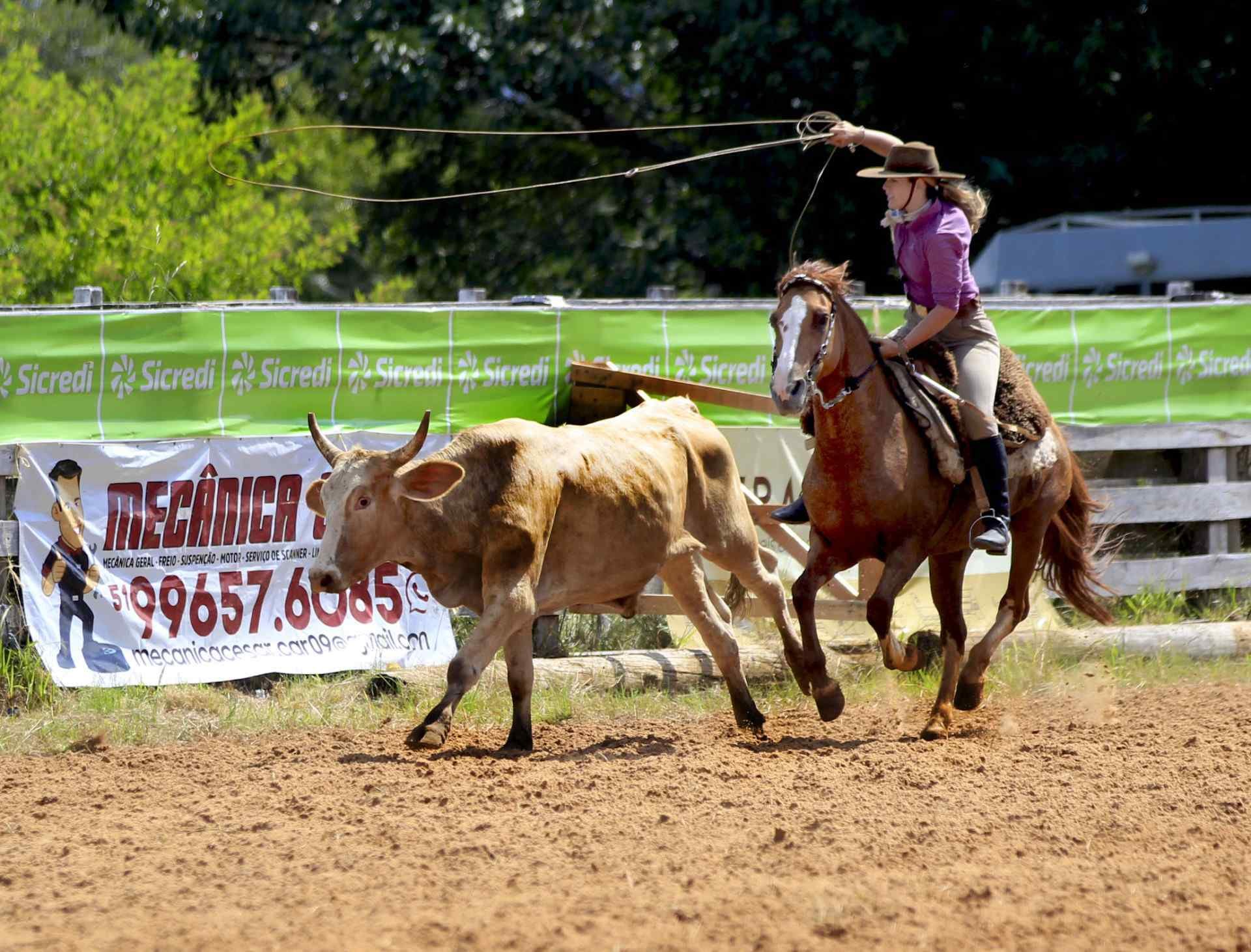 Final de semana tem rodeio em Nova Santa Rita