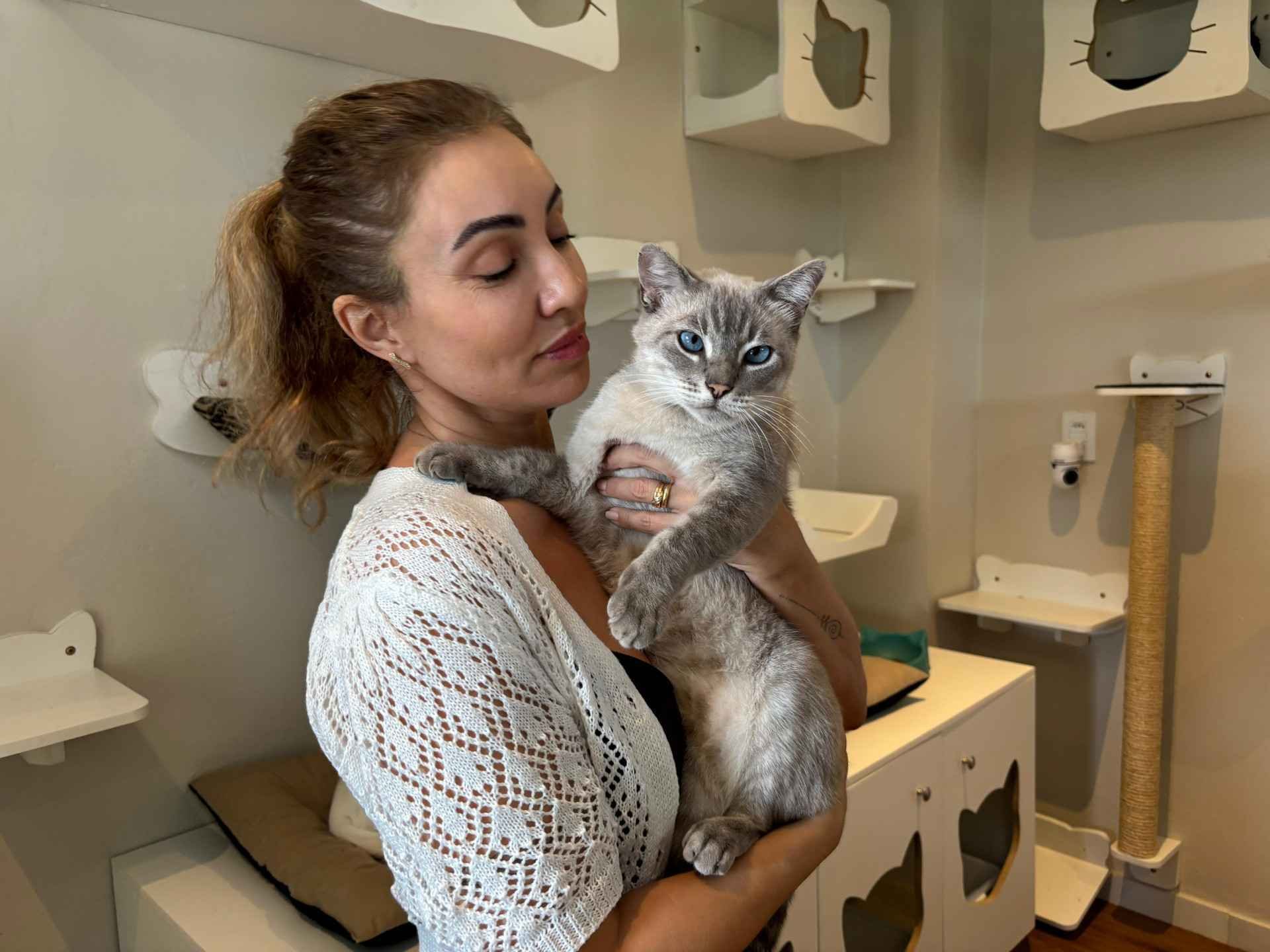 Gosta de gatos? Conheça negócio da região que une café e a causa animal